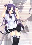  akiyama_mio alternate_costume animal_ears bad_id bad_pixiv_id blue_eyes blush caidychen caramelldansen cat_ears cat_tail choker enmaided garters k-on! lingerie long_hair maid paw_pose petticoat purple_hair solo tail thighhighs underwear zettai_ryouiki zoom_layer 