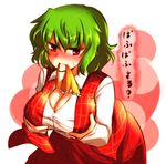  ascot blush breast_hold breasts cleavage green_hair highres kazami_yuuka large_breasts leaning_forward mouth_hold plaid plaid_skirt plaid_vest red_eyes roki_(hirokix) short_hair skirt skirt_set solo touhou translated vest 