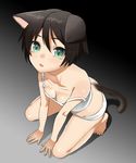  animal_ears barefoot blush breasts brown_hair camisole cat_ears cat_tail cleavage downblouse hands mattaku_mousuke medium_breasts open_mouth original panties solo squatting tail tears underwear 