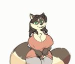  2019 animated anthro areola bedroom_eyes belly big_breasts black_nose bottomless bouncing_breasts breasts cleavage clothed clothing clothing_lift female front_view green_eyes hair hair_over_eyes half-closed_eyes hand_on_breast huge_breasts looking_at_viewer mammal navel nipple_outline nipples pofuilly procyonid raccoon seductive shirt shirt_lift slightly_chubby smile solo thick_thighs undressing 