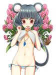  animal_ears basket buck_teeth cameltoe capelet flat_chest flower grey_hair jewelry midriff mouse mouse_ears mouse_tail nazrin oogami_yuuki panties pendant red_eyes short_hair side-tie_panties solo tail touhou underwear 