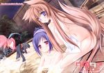  animal_ears bathing bird blush breasts brown_hair cleavage highres kawai_ameri long_hair medium_breasts mito_mashiro moekibara_fumitake multiple_girls nude nue_(tayutama) purple_eyes tail tayutama very_long_hair 