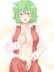  blush breasts cleavage green_hair hands kazami_yuuka large_breasts mokku navel open_clothes open_mouth open_shirt plaid plaid_skirt plaid_vest red_eyes shirt short_hair skirt skirt_pull skirt_set solo touhou undressing vest 