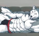  abs anthro armpit_hair big_muscles canid canine canis clothing digital_media_(artwork) domestic_dog male mammal muscular muscular_male pecs wildheit 