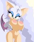  bb breasts furry large_breasts lowres nipples pussy rouge_the_bat smile sonic_the_hedgehog tail wings 