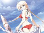  bikini primitive_link swimsuits tierra_moreni wallpaper yuuki_makoto 