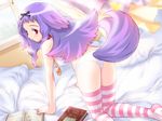  animal_ears ass bed book dalk_gaiden farfa_krywa game_cg hair_ribbon long_hair mutsumi_masato panties purple_hair red_eyes ribbon solo striped striped_legwear tail thighhighs underwear white_panties window 