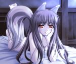  animal_ears bed blush brown_hair holo long_hair lying nude red_eyes shiumai solo spice_and_wolf tail wolf_ears 