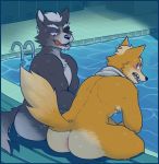  anthro anus armpit_hair blush bubble_butt butt canid canine canis duo fox fox_mcbutt fur glitter_trap_boy grey_fur male male/male mammal nintendo sitting star_fox sweat towel video_games wet wet_fur wolf wolf_o&#039;donnell 