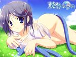  blue_eyes blush bottomless breasts cleavage cloud day galge.com grass hose lying medium_breasts mizutani_kanna outdoors purple_hair shirt short_hair sky smile solo soukuu_no_shakti t-ray wallpaper wavestar wet wet_clothes wet_shirt 