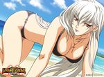  all_fours bangs beach bikini black_bikini blue_sky breasts cleavage cloud collarbone copyright_name cross day earrings freia_kagami jewelry large_breasts light_smile lipstick long_hair looking_at_viewer makeup necklace non-web_source outdoors purple_lipstick red_eyes sky slit_pupils smile solo swimsuit wallpaper white_hair wrestle_angels wrestle_angels_survivor 