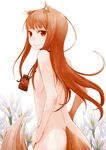  absurdres animal_ears ayakura_juu brown_hair flat_chest flower highres holo long_hair looking_back nude pouch red_eyes smile solo spice_and_wolf tail wolf_ears 