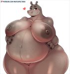  &lt;3 2019 anthro areola belly big_belly big_breasts blush breasts common_hippopotamus digital_media_(artwork) eyelashes female front_view gloria_(madagascar) hippopotamid huge_breasts huge_hips looking_at_viewer madagascar mammal matospectoru navel nipples nude overweight overweight_female patreon pregnant pussy simple_background smile solo thick_thighs url voluptuous white_background wide_hips 