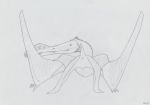  2019 ambiguous_gender anatomically_correct animal_genitalia butt claws cloaca crest e621_exclusive feathers feral full-length_portrait graphite_(artwork) greyscale looking_at_viewer looking_back membranous_wings monochrome nude pencil_(artwork) portrait presenting presenting_cloaca presenting_hindquarters pterosaur quadruped raised_tail rear_view reptile scalie simple_background small_tail smile solo standing teeth traditional_media_(artwork) tropeognathus_(species) white_background wings zw3 