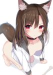  1girl all_fours animal_ear_fluff animal_ears ass bangs black_choker bottomless brown_hair choker collarbone commentary_request dog_ears dog_girl dog_tail drawstring eyebrows_visible_through_hair full_body hair_between_eyes highres jacket long_hair mizuki_ryuu naked_coat open_clothes open_jacket original red_eyes shadow solo tail white_background white_jacket 