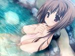  bra-ban! breasts brown_eyes brown_hair covering dutch_angle game_cg kobuichi large_breasts long_hair nakanoshima_tae nude onsen red_eyes sitting solo towel water 