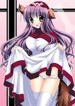  animal_ears bad_id bad_pixiv_id blush brown_eyes dragon_quest dragon_quest_ii dress dress_lift hinapo lingerie long_hair navel panties princess_of_moonbrook purple_hair solo tail underwear 