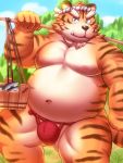  2019 anthro belly clothing cute_fangs felid fundoshi humanoid_hands japanese_clothing lako male mammal moobs navel nipples outside overweight overweight_male pantherine solo tiger underwear 