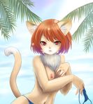  animal_ears beach bikini breasts cat_ears cat_tail furry nipples red_eyes red_hair short_hair swimsuit tail tetsuko_(jukai) topless 