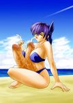  ayane ayane_(doa) beach bikini breasts censored dead_or_alive extra_penises futanari multi_cock multiple_penises object_insertion penis purple_hair short_hair straw swimsuit tecmo urethral_insertion 