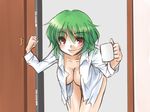  bent_over blush bottomless breasts cleavage cup green_hair hanging_breasts hirase_yuu kazami_yuuka knocking large_breasts leaning_forward looking_at_viewer mug naked_shirt open_clothes open_shirt red_eyes shirt short_hair smile solo touhou 