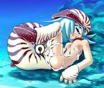  bestiality monster_girl nautilus_(animal) octopus sakaki_(artist) sakaki_(noi-gren) tentacle 