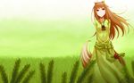  green horo spice_and_wolf tagme 