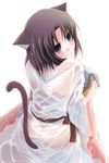  animal_ears bad_id bad_pixiv_id black_hair blue_eyes cat_ears izumiya_otoha japanese_clothes kara_no_kyoukai looking_back ryougi_shiki see-through sitting solo tail wet 