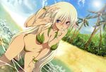  :o absurdres alleyne_(queen's_blade) angry arm_up armpits bangs beach bikini blue_eyes blush bracelet braid breasts bush cleavage cloud coconut day dutch_angle elf foliage hair_between_eyes hair_over_breasts hand_in_hair hand_on_own_head hand_on_thigh highres jewelry large_breasts leaf leaf_bikini leaning_forward long_hair long_pointy_ears looking_at_viewer megami miyazawa_tsutomu navel non-web_source official_art open_bikini open_clothes open_mouth outdoors palm_tree pointy_ears queen's_blade reflection side_braid sidelocks silver_hair sky solo standing sun swimsuit third-party_edit tree very_long_hair wading water wet 