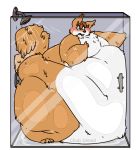  2019 alpha_channel anthro blush brown_body brown_fur brown_hair buckteeth chest_tuft chub-united countershading embarrassed fur green_eyes hair male mammal moobs morbidly_obese nude obese overweight rodent sciurid shower showering solo standing stuck teeth tuft white_countershading 