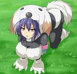  all_fours animal_ears blue_hair breasts cleavage date_(senpen) grass kurokami_medaka large_breasts medaka_box open_mouth solo tail 