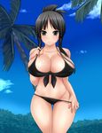  akiyama_mio aoinagi bangs bikini black_bikini black_eyes black_hair blunt_bangs breasts bursting_breasts cleavage day front-tie_top huge_breasts k-on! solo swimsuit thigh_gap 