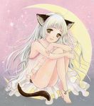  animal_ears anklet babydoll bad_id bad_pixiv_id bare_shoulders barefoot bottomless breasts brown_eyes cat_ears cat_tail crescent_moon face feet frills jewelry leg_hug legs lingerie lips long_hair medium_breasts moon nipples original see-through sitting smile solo tail toyoda_izumi underwear very_long_hair white_hair 