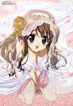  breasts brown_eyes brown_hair cleavage nogizaka_haruka nogizaka_haruka_no_himitsu veil 