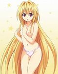  black_cat black_cat_(series) blonde_hair breasts eve eve_(black_cat) konjiki_no_yami panties to_love-ru toloveru topless underwear 