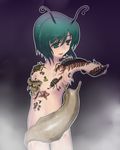  antennae bad_id bad_pixiv_id bug censored convenient_censoring green_eyes green_hair highres insect living_clothes nude short_hair slug solo tai_takeshi touhou wriggle_nightbug 