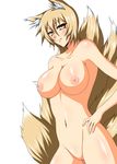  animal_ears bad_id bad_pixiv_id banned_artist blonde_hair breasts brown_eyes fox_ears fox_tail large_breasts multiple_tails nipples nude s_tanly solo tail touhou yakumo_ran 
