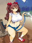  breasts brown_eyes brown_hair curvy hose large_breasts matsuri_(teriyaki) midriff navel original plump shirt shorts smile solo teriyaki thick_thighs thighs water 