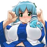  bad_id bad_pixiv_id blue_hair blush breasts detached_sleeves frog green_eyes hair_ornament hyudora kochiya_sanae large_breasts navel snake solo touhou 