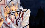  blood kiryu_zero tagme vampire_knight 