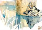  amakko black_hair grass juuni_kokuki long_hair lying male_focus reflection rikou taishi tiger traditional_media water watercolor_(medium) white_tiger 