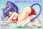  animal_ears barefoot blue_hair blush bra cat_ears cat_tail catgirl feet fish green_eyes lingerie long_hair looking_at_viewer mouth_hold soles tail thighhighs underwear 