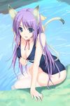  animal_ears breasts cat_ears cat_tail cleavage iizuki_tasuku large_breasts one-piece_swimsuit original school_swimsuit solo swimsuit tail thighhighs 