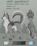  2018 animal_genitalia blue_eyes brown_fur brown_tail canid canine canis claws digital_media_(artwork) feral fur grey_fur grey_tail long_ears macro male mammal matt_quickfoot model_sheet multicolored_fur multicolored_tail punkcroc sheath solo wolf 