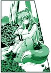  animal_ears bad_id bad_pixiv_id clannad fox_ears fox_tail fujibayashi_kyou green monochrome naka_noboru sitting solo tail thighhighs 