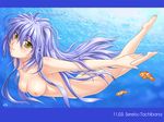  air_bubble barefoot breasts breath bubble fish freediving green_eyes highres holding_breath lavender_hair long_hair mahiro_takeumi medium_breasts nude purple_hair solo tachibana_serebu tsuyokiss underwater wallpaper 