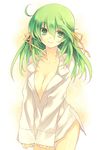  bad_id bad_pixiv_id bottomless breasts cleavage dress_shirt green_eyes green_hair large_breasts long_hair mugura original shirt smile solo 