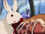  blood bunny forest guro nature organs photoshop rabbit rabbit_of_caerbannog source_request tree what 