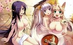  amakura breasts groin highres large_breasts mikage_(toppara) multiple_girls nipples nude sachiko_(toppara) toppara touka_(toppara) wallpaper 
