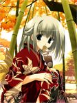  bamboo bamboo_forest black_eyes blush copyright_request forest japanese_clothes mitsumi_misato nature solo white_hair 